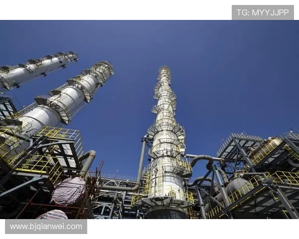 成都网球队区域防守创新之路探索与实践分析